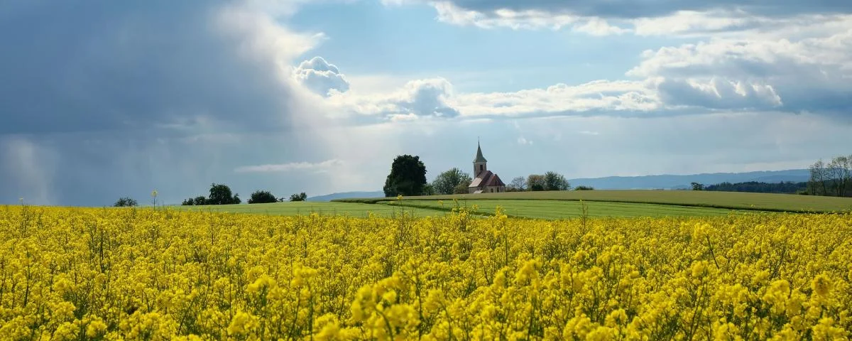 Kirche Rapsfeld