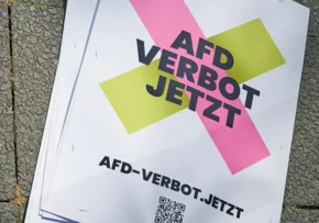 AfD-Verbot jetzt | Foto: epd bild/ Christian Ditsch