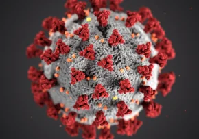 Corona-Virus: Informationen und Hinweise der EKM | Foto: Foto: CDC | Unsplash
